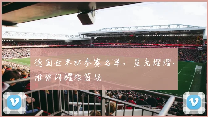 德国世界杯参赛名单，星光熠熠，谁将闪耀绿茵场