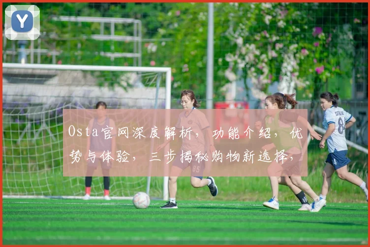 Osta官网深度解析，功能介绍，优势与体验，三步揭秘购物新选择，