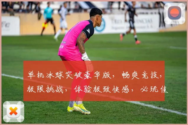 单机冰球突破豪华版，畅爽竞技，极限挑战，体验极致快感，必玩佳作三连发，不容错过